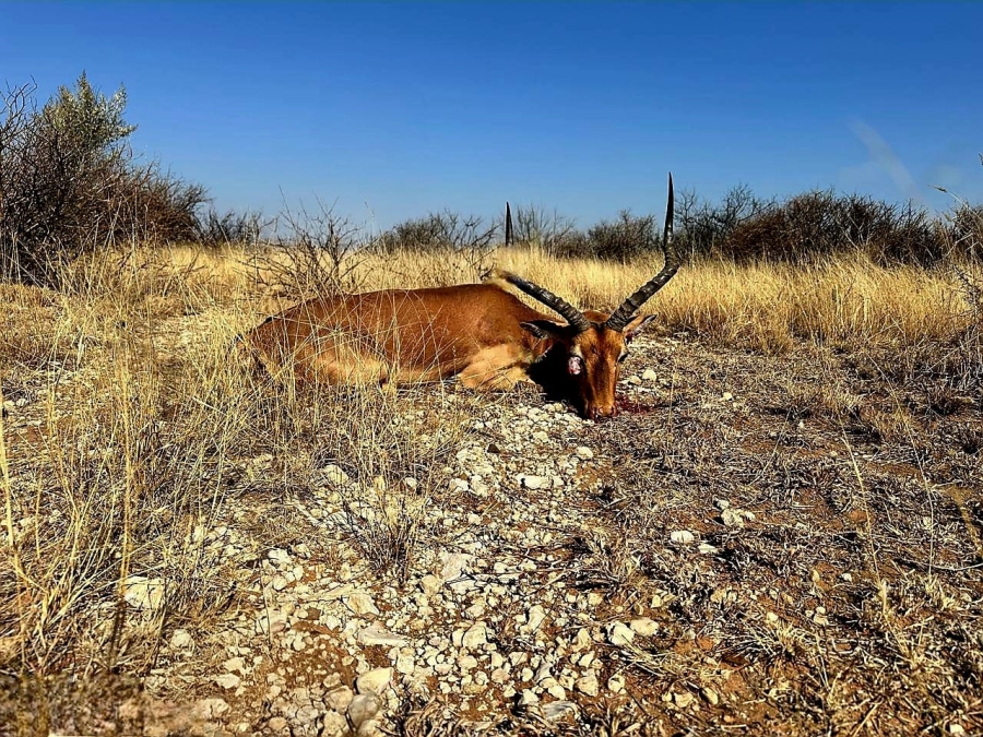 4 Bedroom Property for Sale in Kimberley Rural Northern Cape